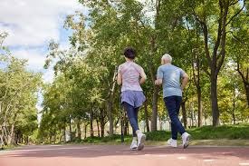 骰子“物理规律”：解析掷骰子的力度、角度与落点对结果的非完全随机影响。（骰子背后的物理：力度、角度与落点如何影响结果的非完全随机性）