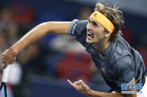 评议报告指 评议报告指